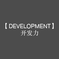 【DEVELOPMENT】开发力